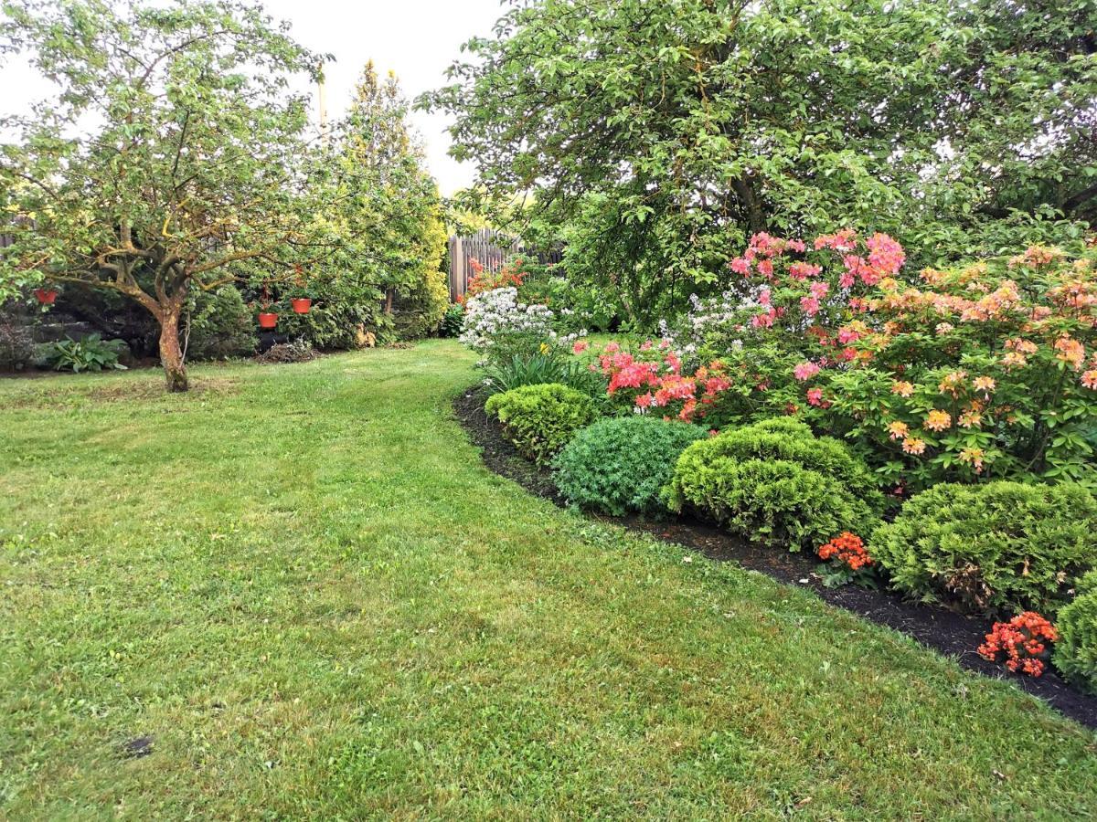 Garden View Home Марупе Экстерьер фото